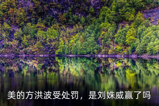 美的方洪波受處罰，是劉姝威贏了嗎