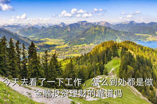 今天去看了一下工作，怎么到處都是做金融投資理財(cái)?shù)目孔V嗎