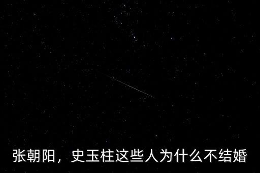 張朝陽，史玉柱這些人為什么不結婚