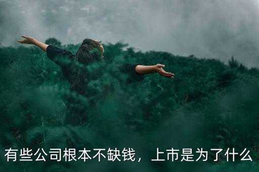 有些公司根本不缺錢，上市是為了什么