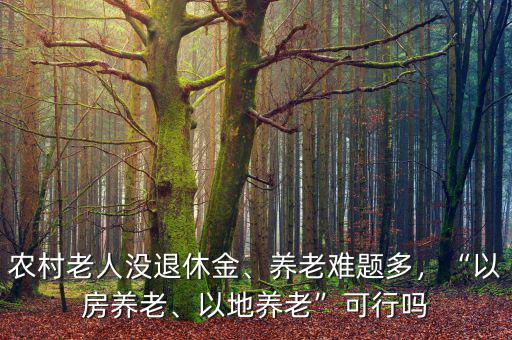 農(nóng)村老人沒退休金、養(yǎng)老難題多，“以房養(yǎng)老、以地養(yǎng)老”可行嗎
