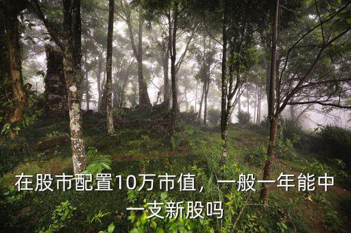在股市配置10萬(wàn)市值，一般一年能中一支新股嗎