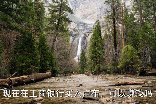 現(xiàn)在在工商銀行買入盧布，可以賺錢嗎