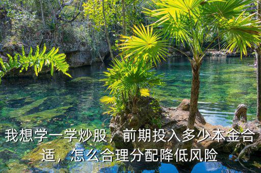 我想學(xué)一學(xué)炒股，前期投入多少本金合適，怎么合理分配降低風(fēng)險(xiǎn)