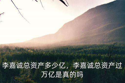 李嘉誠(chéng)總資產(chǎn)多少億，李嘉誠(chéng)總資產(chǎn)過(guò)萬(wàn)億是真的嗎