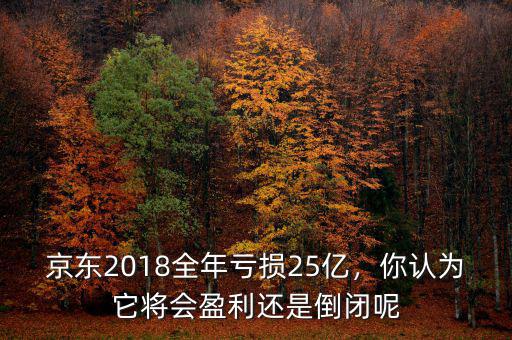 京東2018全年虧損25億，你認(rèn)為它將會(huì)盈利還是倒閉呢