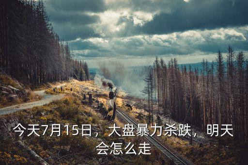 今天7月15日，大盤(pán)暴力殺跌，明天會(huì)怎么走