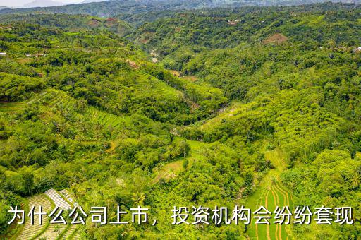 為什么公司上市，投資機構(gòu)會紛紛套現(xiàn)