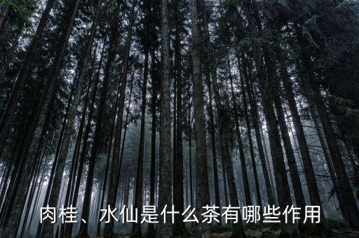 肉桂、水仙是什么茶有哪些作用