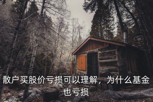 散戶買(mǎi)股價(jià)虧損可以理解，為什么基金也虧損