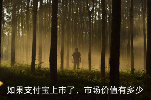 如果支付寶上市了，市場(chǎng)價(jià)值有多少