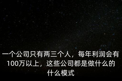 一個公司只有兩三個人，每年利潤會有100萬以上，這些公司都是做什么的什么模式