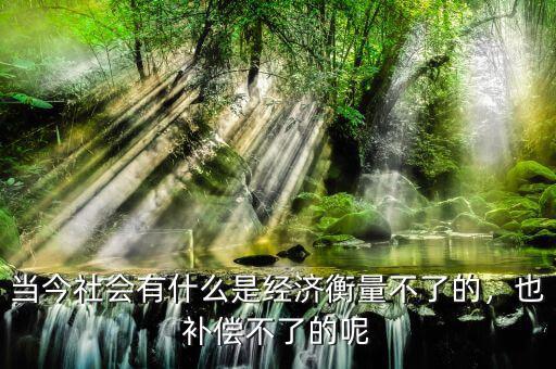 當(dāng)今社會(huì)有什么是經(jīng)濟(jì)衡量不了的，也補(bǔ)償不了的呢
