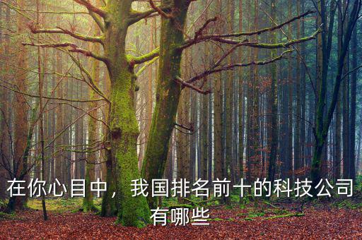 在你心目中，我國排名前十的科技公司有哪些