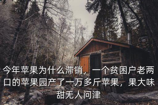 今年蘋果為什么滯銷，一個(gè)貧困戶老兩口的蘋果園產(chǎn)了一萬多斤蘋果，果大味甜無人問津