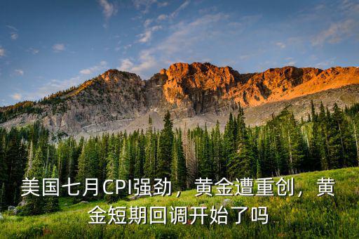 美國(guó)七月CPI強(qiáng)勁，黃金遭重創(chuàng)，黃金短期回調(diào)開始了嗎