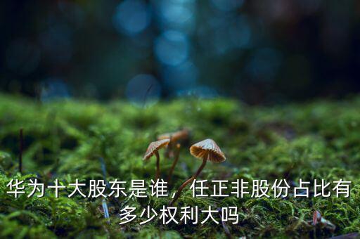 華為十大股東是誰，任正非股份占比有多少權(quán)利大嗎