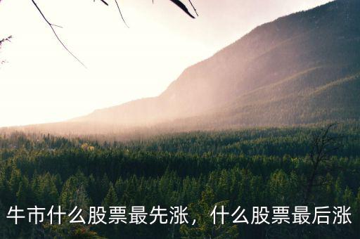 牛市什么股票最先漲，什么股票最后漲