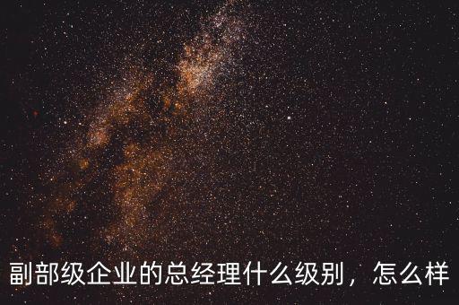 副部級(jí)企業(yè)的總經(jīng)理什么級(jí)別，怎么樣