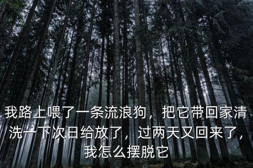我路上喂了一條流浪狗，把它帶回家清洗一下次日給放了，過兩天又回來了，我怎么擺脫它