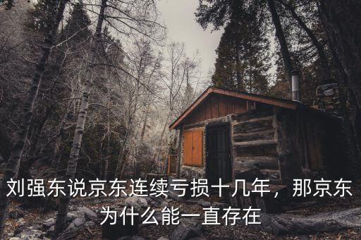 劉強(qiáng)東說(shuō)京東連續(xù)虧損十幾年，那京東為什么能一直存在