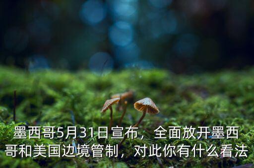 墨西哥5月31日宣布，全面放開墨西哥和美國邊境管制，對此你有什么看法