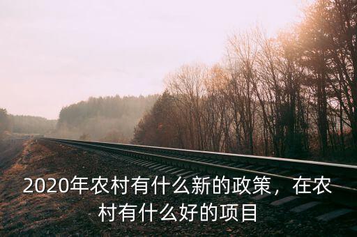 2020年農(nóng)村有什么新的政策，在農(nóng)村有什么好的項目