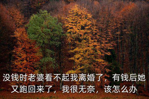 沒錢時老婆看不起我離婚了，有錢后她又跑回來了，我很無奈，該怎么辦