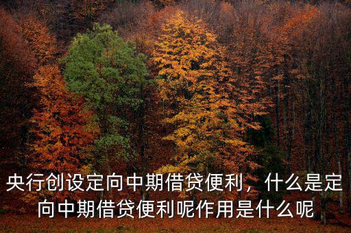 央行創(chuàng)設(shè)定向中期借貸便利，什么是定向中期借貸便利呢作用是什么呢