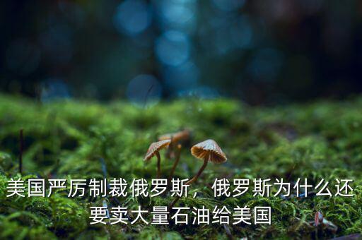 美國嚴厲制裁俄羅斯，俄羅斯為什么還要賣大量石油給美國