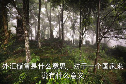 外匯儲(chǔ)備是什么意思，對(duì)于一個(gè)國(guó)家來(lái)說(shuō)有什么意義