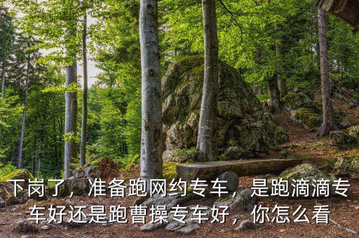 下崗了，準備跑網(wǎng)約專車，是跑滴滴專車好還是跑曹操專車好，你怎么看