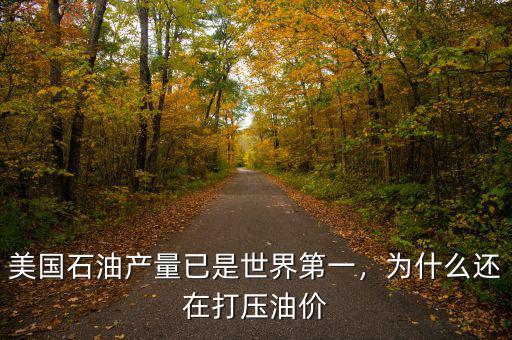 美國石油產量已是世界第一，為什么還在打壓油價