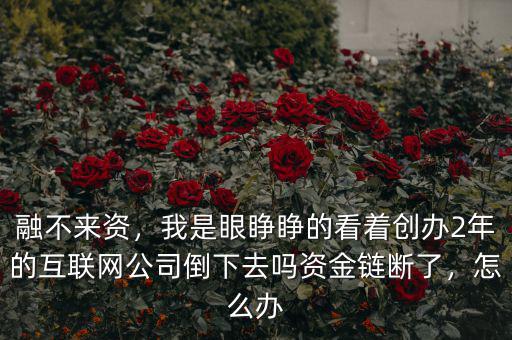 融不來(lái)資，我是眼睜睜的看著創(chuàng)辦2年的互聯(lián)網(wǎng)公司倒下去嗎資金鏈斷了，怎么辦