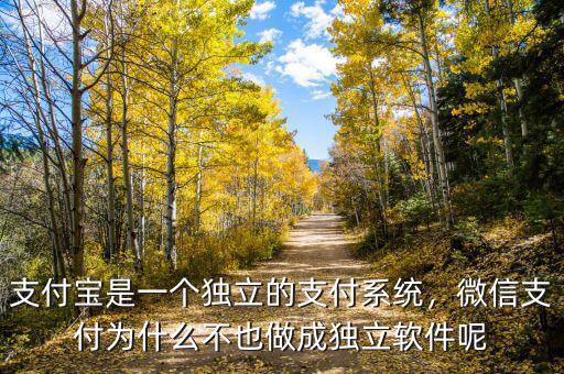 支付寶是一個(gè)獨(dú)立的支付系統(tǒng)，微信支付為什么不也做成獨(dú)立軟件呢