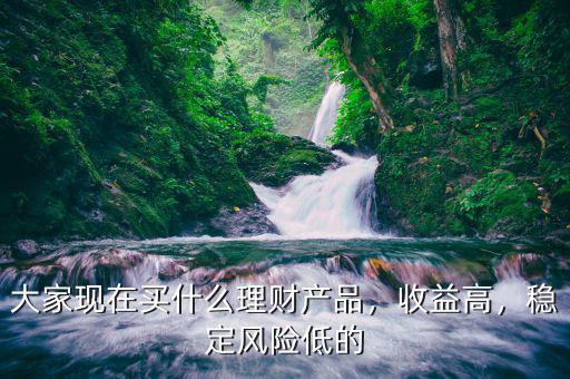大家現(xiàn)在買什么理財產品，收益高，穩(wěn)定風險低的