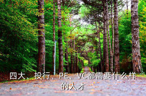四大、投行、PE、VC都需要什么樣的人才