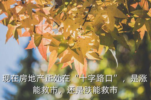 現(xiàn)在房地產(chǎn)正處在“十字路口”，是漲能救市，還是跌能救市