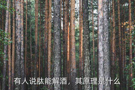 有人說(shuō)肽能解酒，其原理是什么