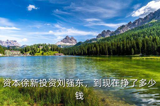 資本徐新投資劉強東，到現(xiàn)在掙了多少錢