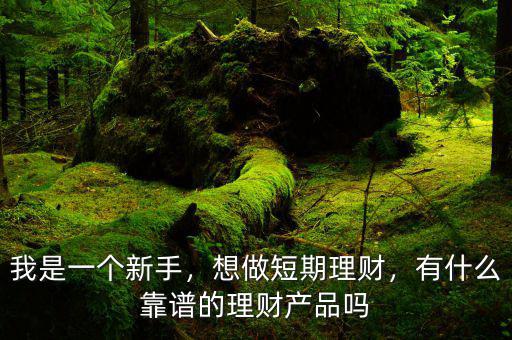 我是一個新手，想做短期理財，有什么靠譜的理財產(chǎn)品嗎