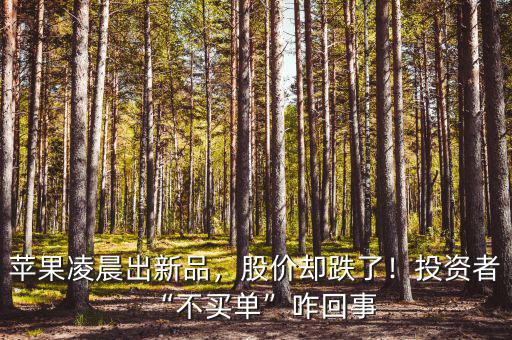 蘋果凌晨出新品，股價卻跌了！投資者“不買單”咋回事