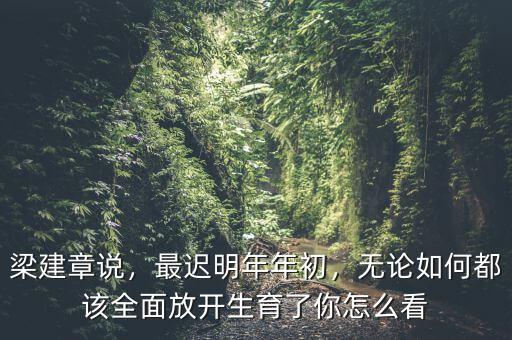 梁建章說，最遲明年年初，無論如何都該全面放開生育了你怎么看