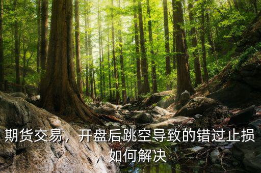期貨交易，開盤后跳空導(dǎo)致的錯過止損，如何解決