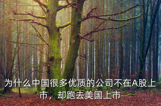 為什么中國很多優(yōu)質(zhì)的公司不在A股上市，卻跑去美國上市