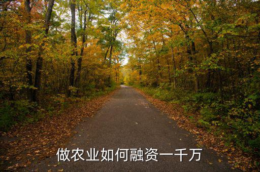 怎么融資一千萬,做農業(yè)如何融資一千萬