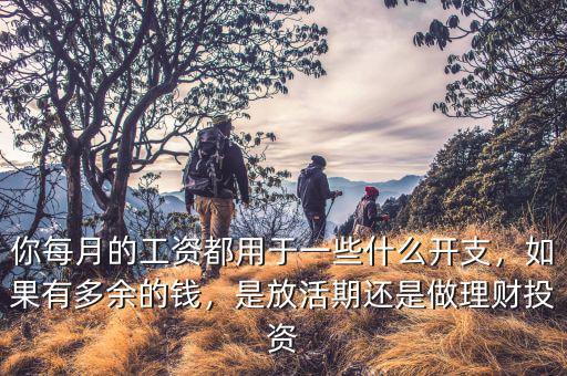 你每月的工資都用于一些什么開支，如果有多余的錢，是放活期還是做理財投資