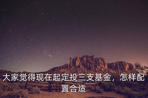 大家覺得現(xiàn)在起定投三支基金，怎樣配置合適