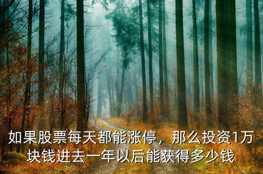 如果股票每天都能漲停，那么投資1萬(wàn)塊錢(qián)進(jìn)去一年以后能獲得多少錢(qián)