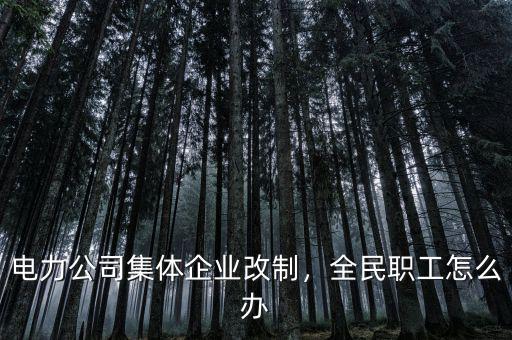 電力公司集體企業(yè)改制，全民職工怎么辦